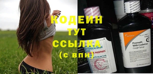 прущие грибы Балахна