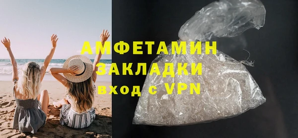 прущие грибы Балахна