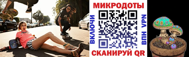 закладки  Озёры  Галлюциногенные грибы мухоморы 